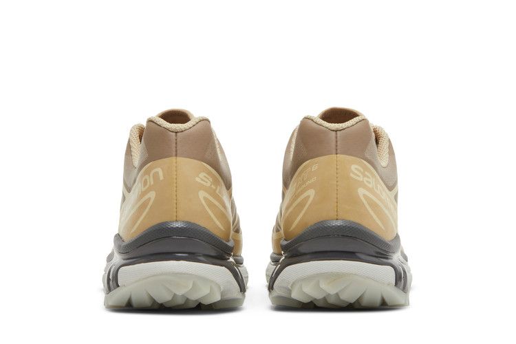 XT-6 Clear Safari - L41641000