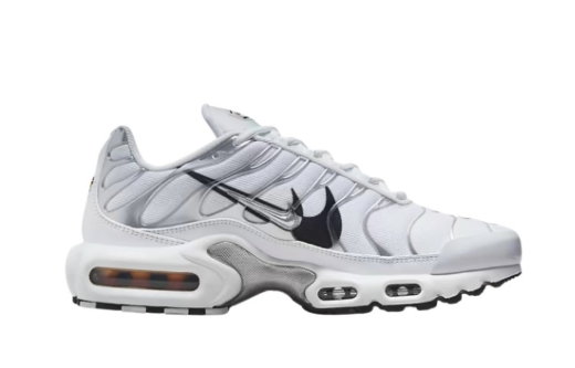 Air Max Plus Double Swoosh White/Grey - DV3456-100