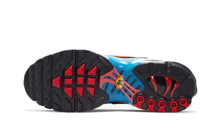 Air Max Plus Brixton - DX2665-001