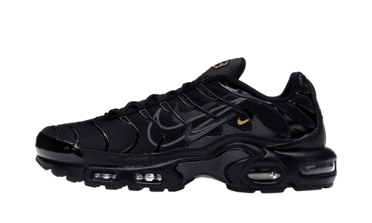 Air Max Plus Multi-Swoosh Black - DX2652-001