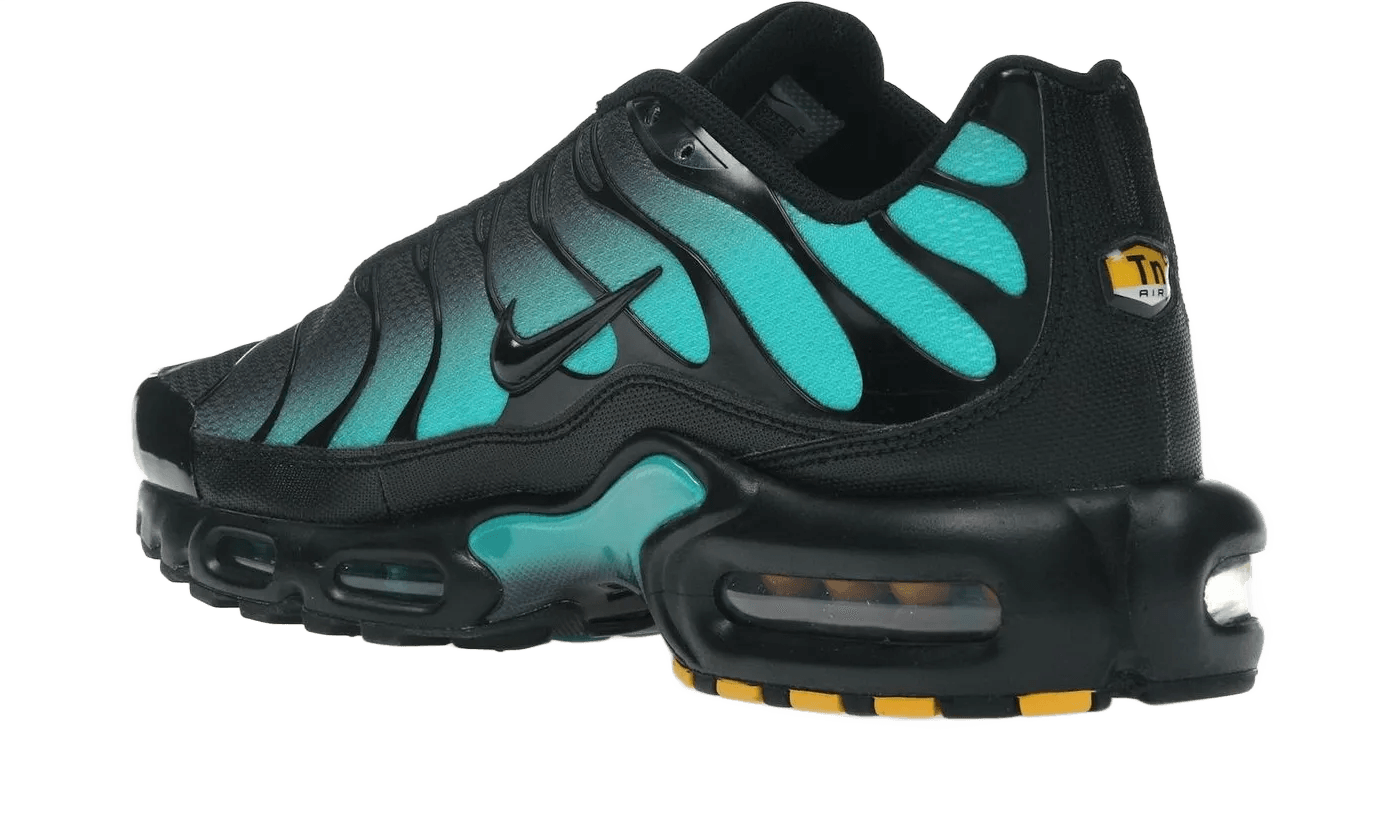 Air Max Plus Black Dusty Cactus - DM0032-016