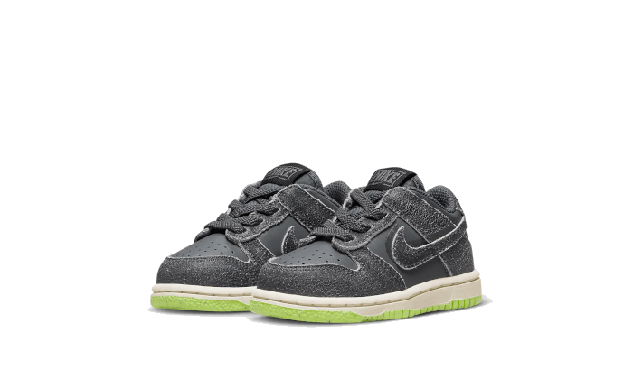dunk-low-swoosh-shadow-iron-grey-bb-td-basketsold