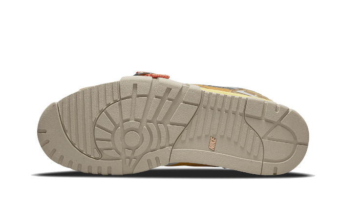 air-trainer-1-sp-coriander-basketsold