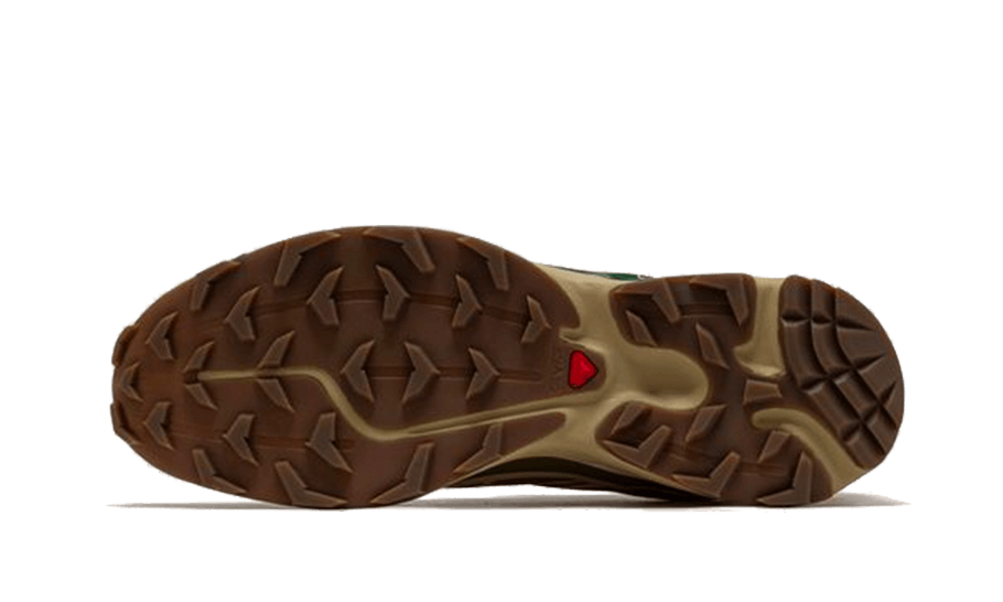 xt-6-rubber-lizard-basketsold