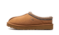 Tasman