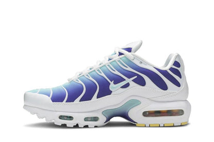 Air Max Plus Bleached Aqua Fierce Purple - AQ9979-100