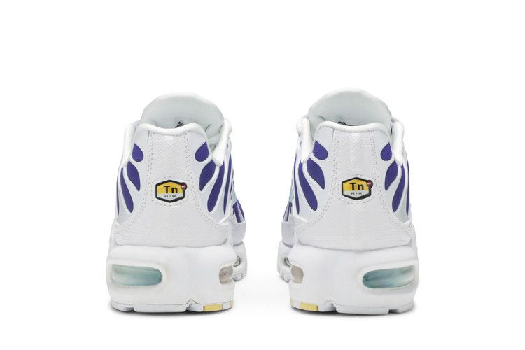Air Max Plus Bleached Aqua Fierce Purple - AQ9979-100