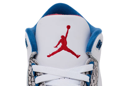 Air Jordan 3 Retro True Blue (2026)