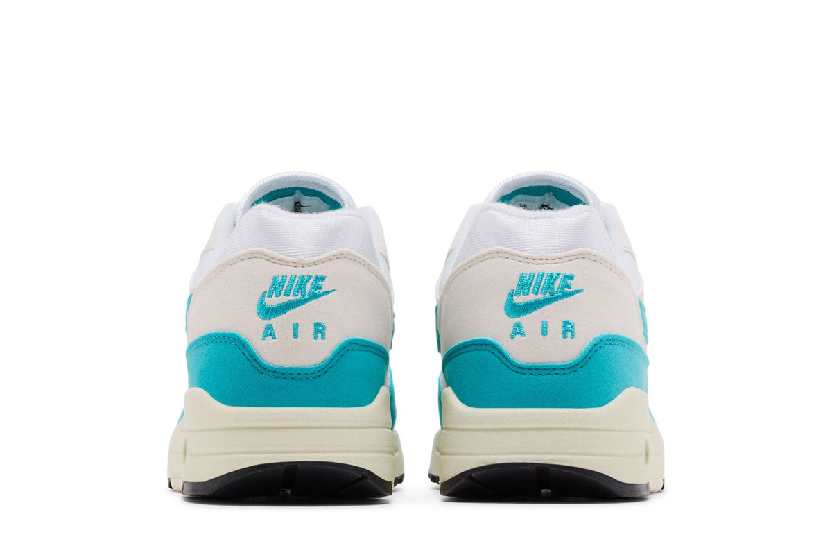 Nike Air Max 1 Dusty Cactus