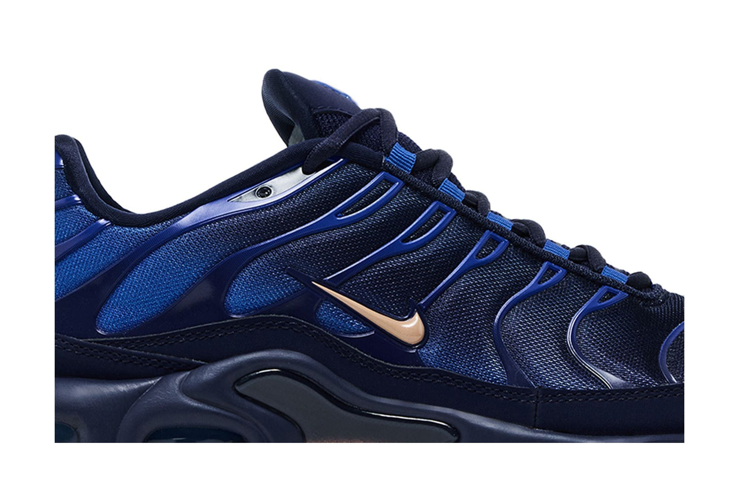 Nike Air Max Plus French Football Federation