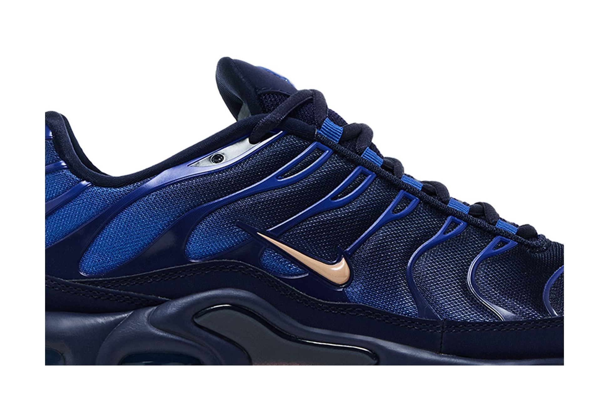 Nike Air Max Plus French Football Federation
