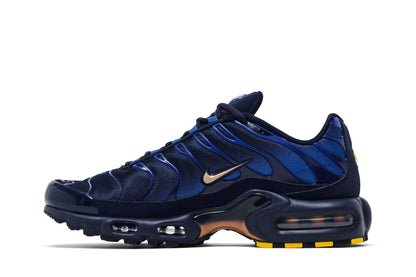 Nike Air Max Plus French Football Federation