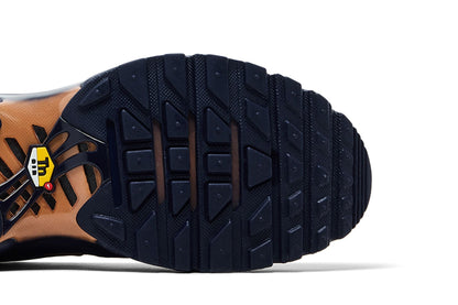Nike Air Max Plus French Football Federation