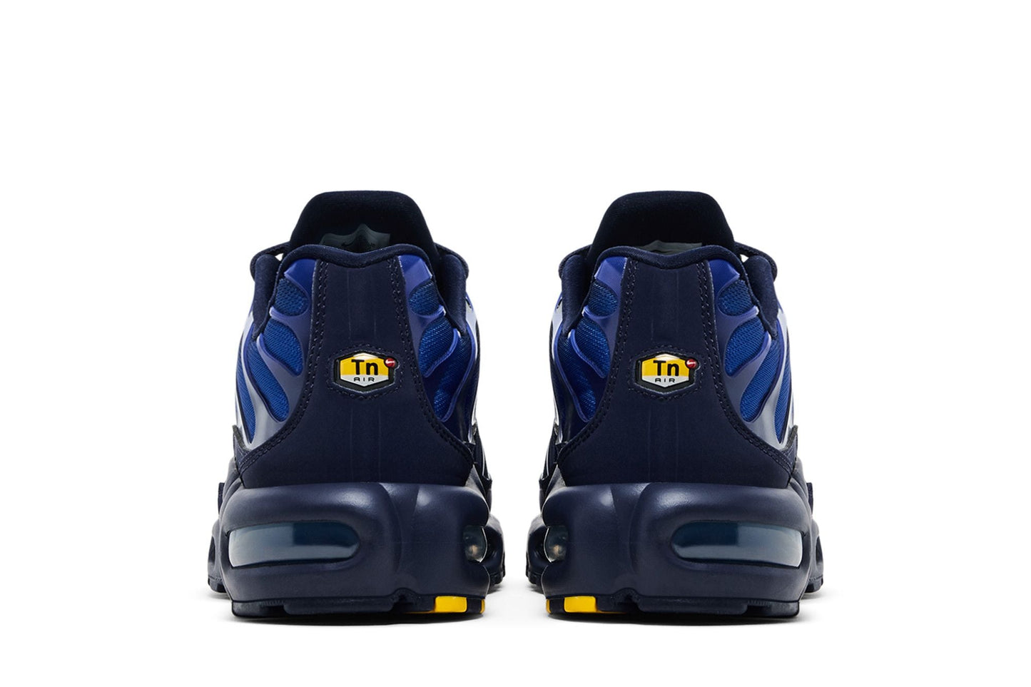 Nike Air Max Plus French Football Federation