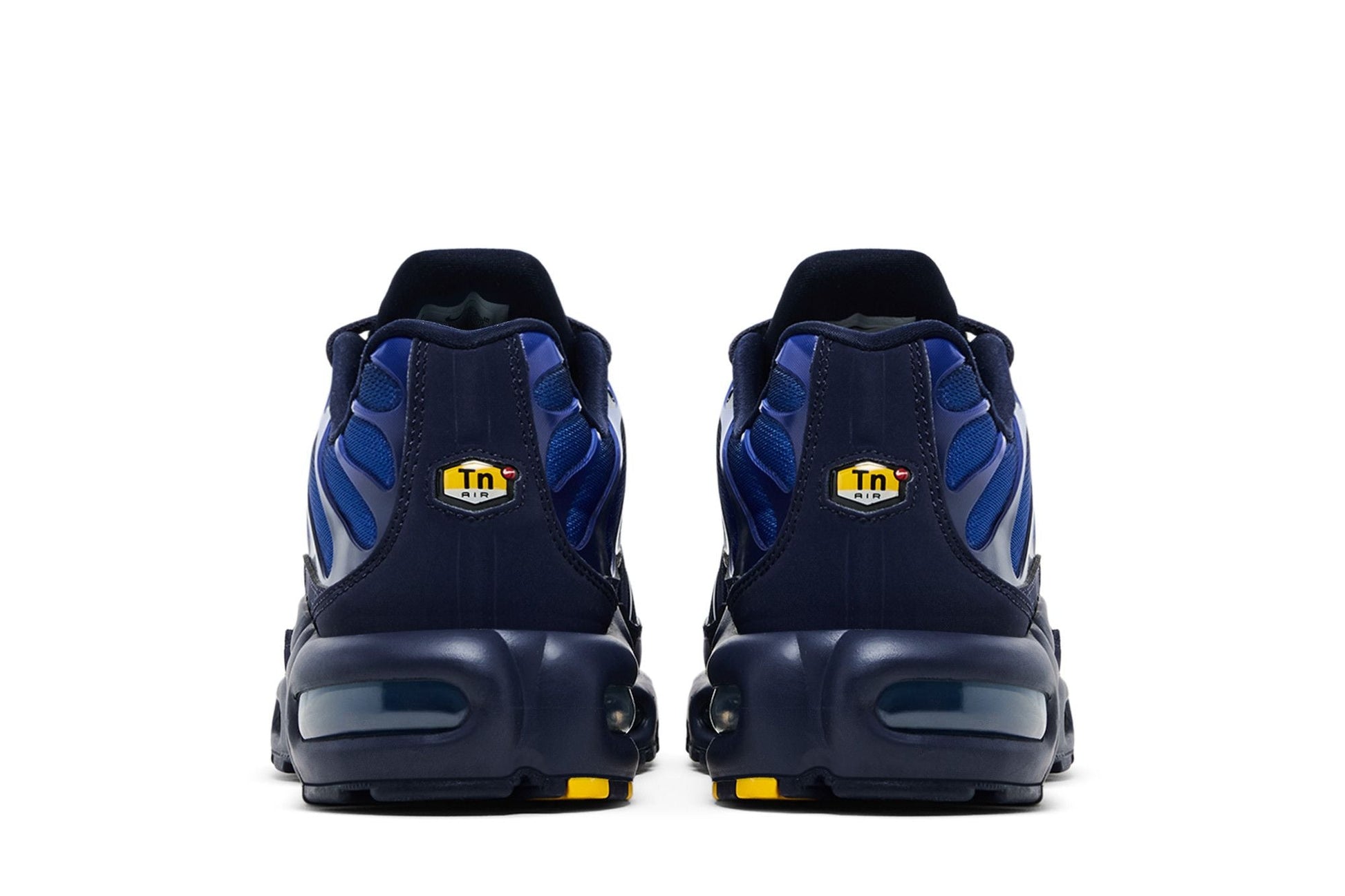 Nike Air Max Plus French Football Federation