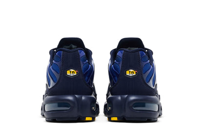 Nike Air Max Plus French Football Federation