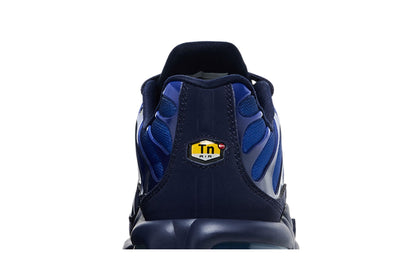 Nike Air Max Plus French Football Federation