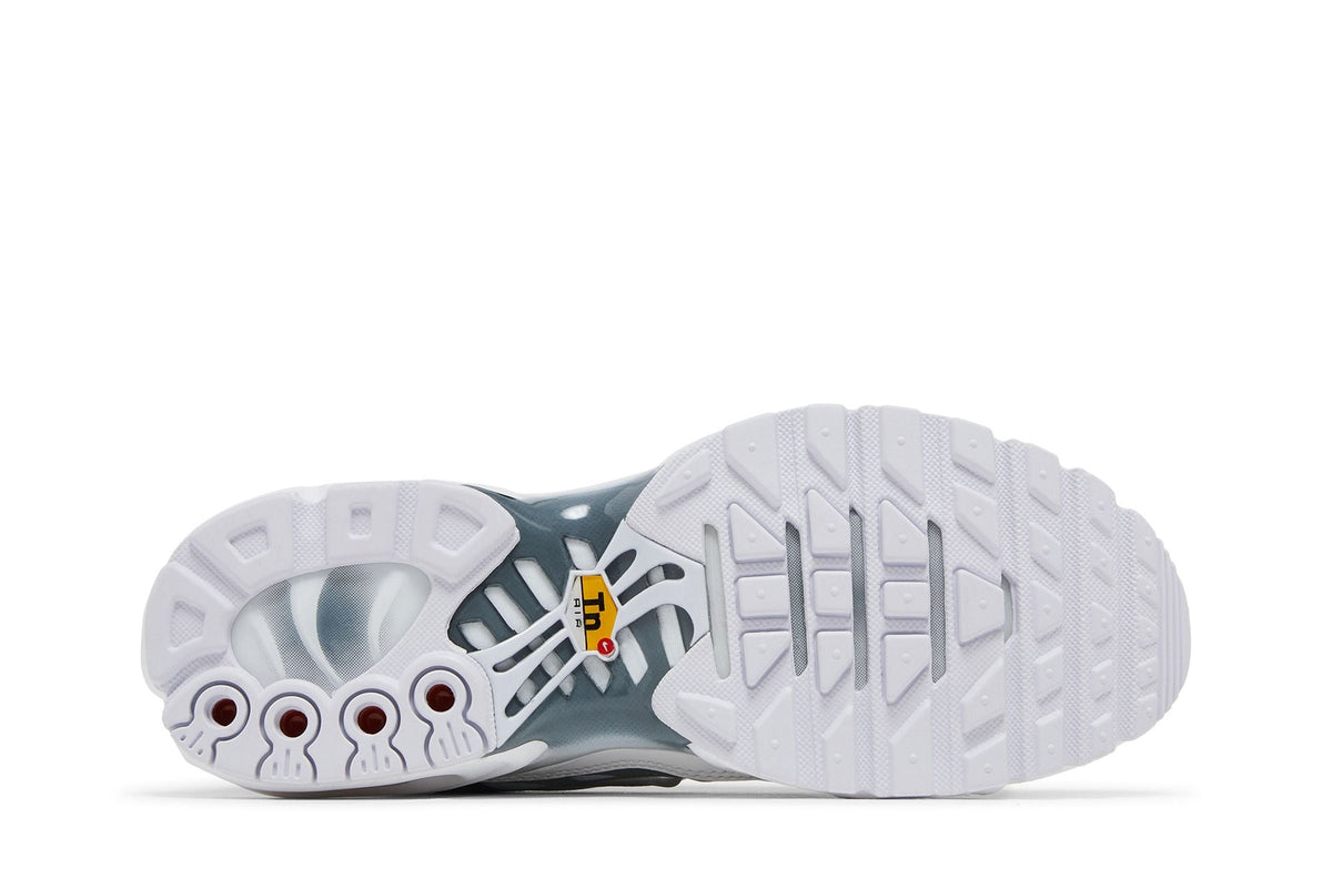 Nike Air Max Plus White Metallic Silver
