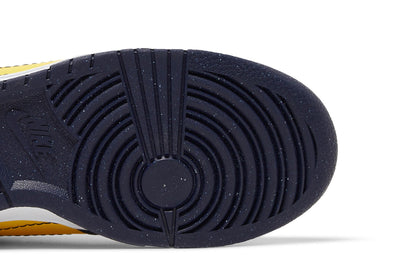Nike Dunk Low Disrupt 2 Michigan