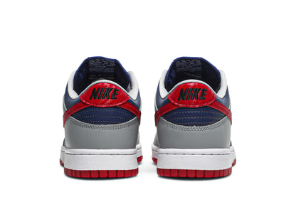 Nike Dunk Low Samba (2020)