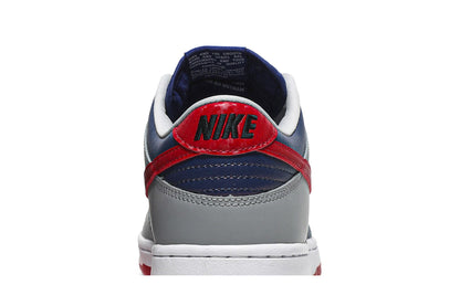 Nike Dunk Low Samba (2020)