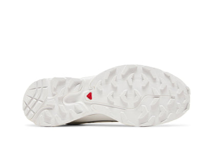 Salomon XT-6 White FTW Silver