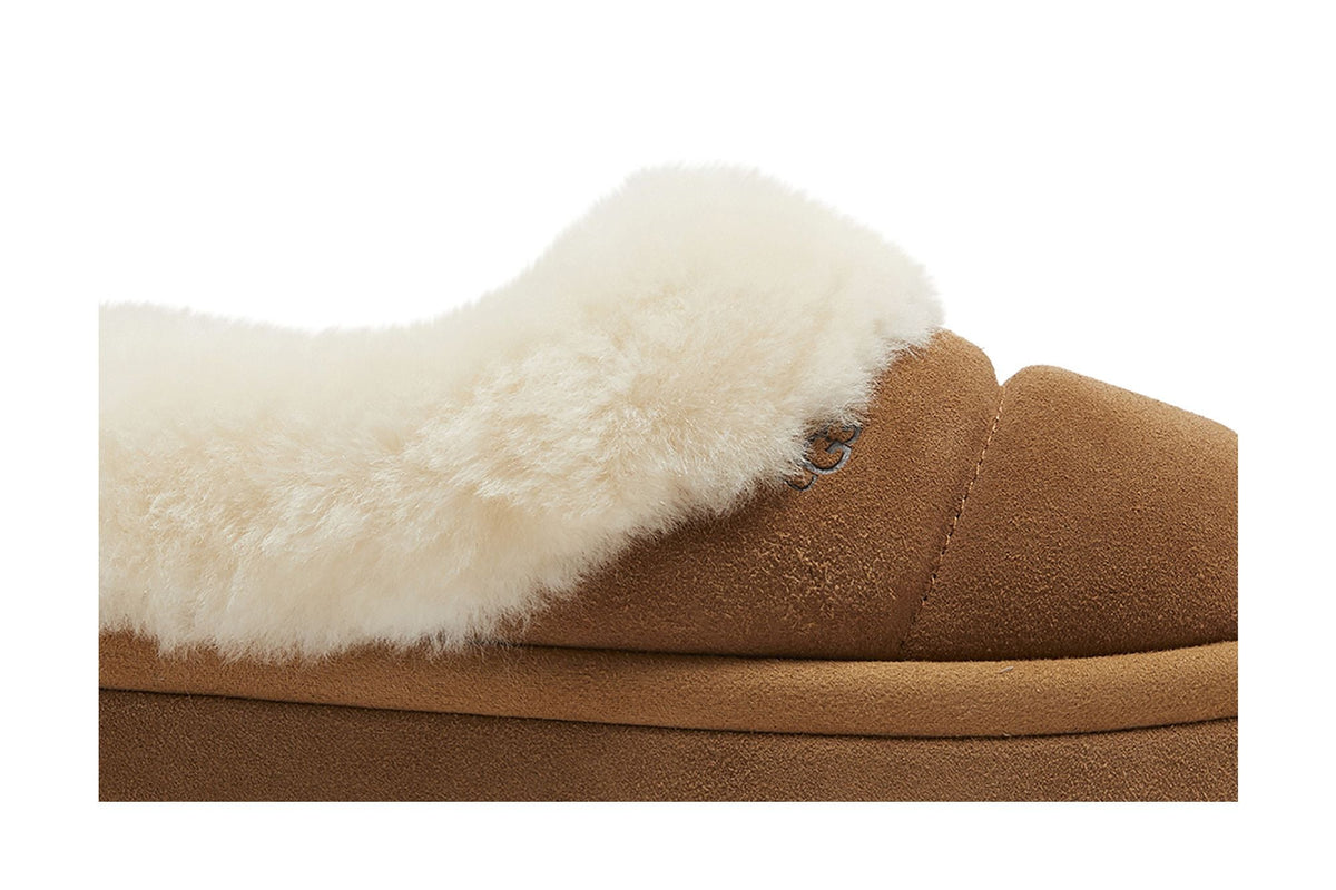 UGG Tazzlita Chestnut (Enfant)