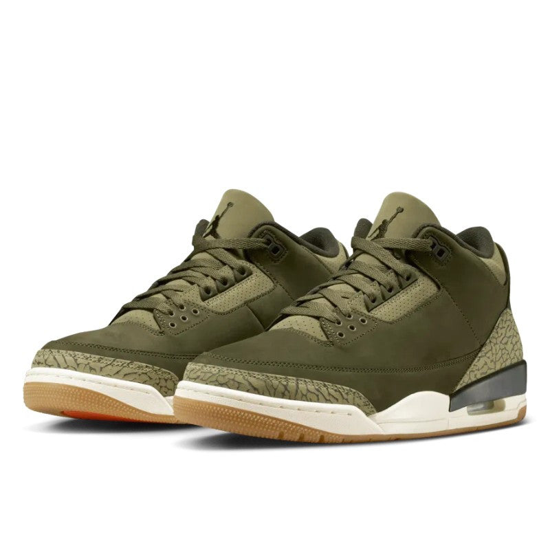 Air Jordan 3 Retro Family Affair