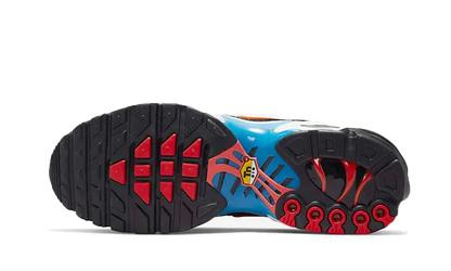 Air Max Plus Brixton - DX2665-001