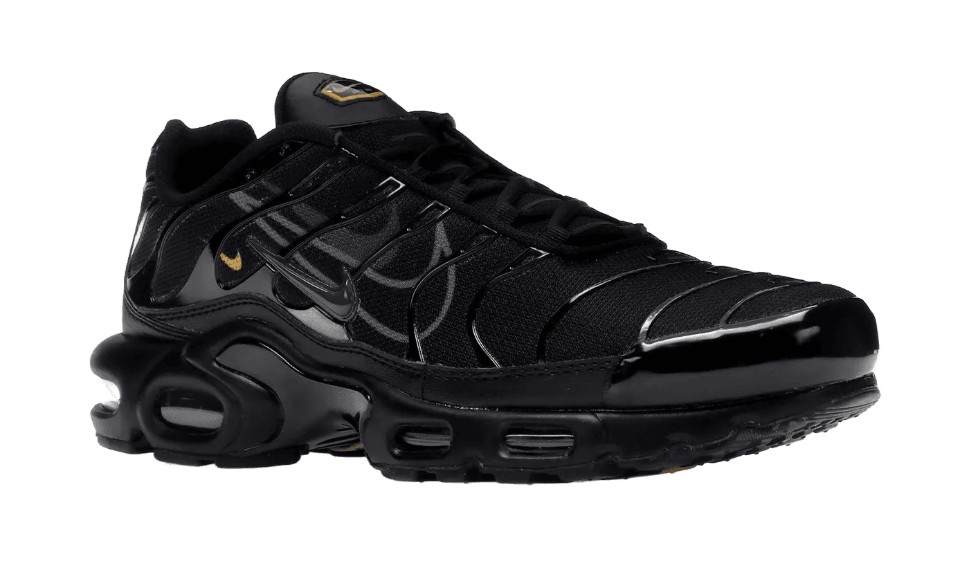 Air Max Plus Multi-Swoosh Black - DX2652-001