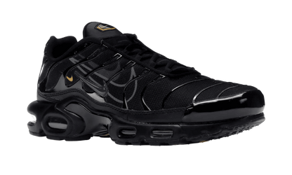 Air Max Plus Multi-Swoosh Black - DX2652-001