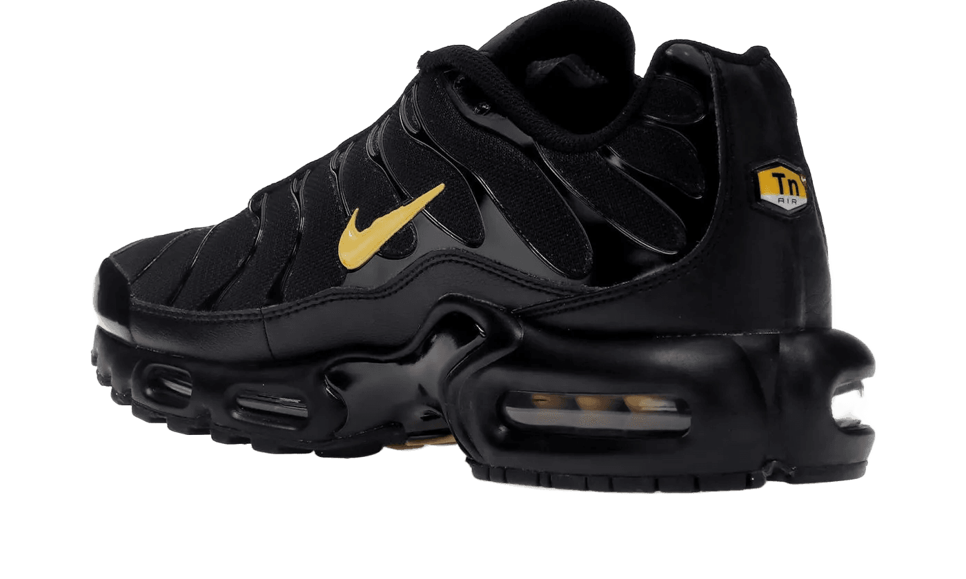 Air Max Plus Multi-Swoosh Black - DX2652-001