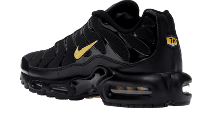 Air Max Plus Multi-Swoosh Black - DX2652-001
