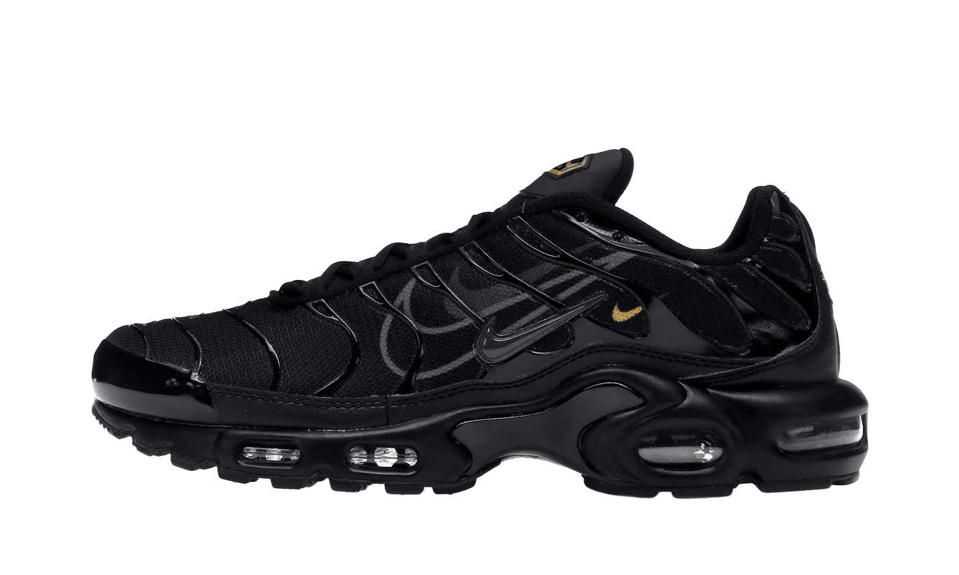 Air Max Plus Multi-Swoosh Black - DX2652-001