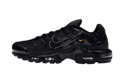 Air Max Plus Multi-Swoosh Black - DX2652-001