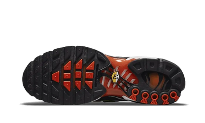 Air Max Plus Sunset Gradient - DR8581-800