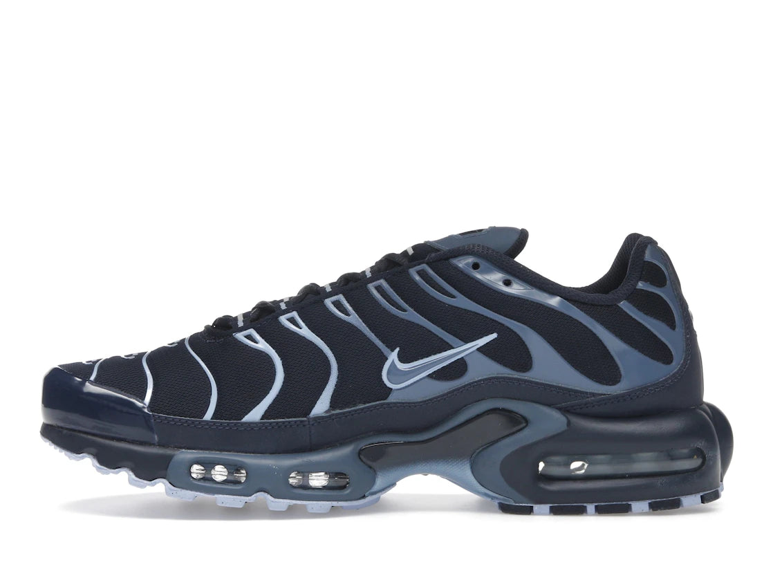 Air Max Plus Obsidian Aluminum - IM6601-451