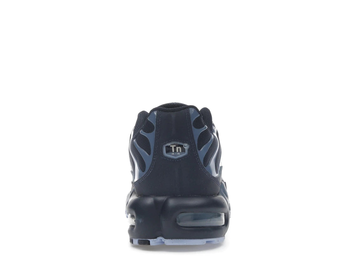Air Max Plus Obsidian Aluminum - IM6601-451