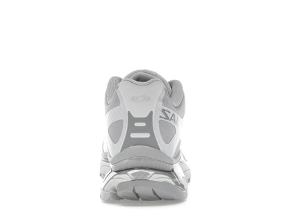 XT-4 OG Lunar Rock Alloy Silver - L47866300