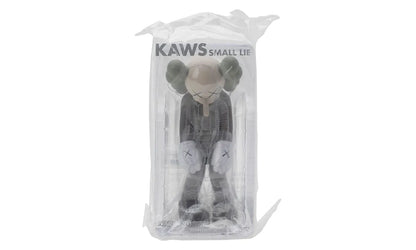 KAWS Small Lie Companion Vinyl Figure Brown - KAWS-KAWS SMA-MULTI