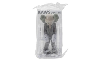 KAWS Small Lie Companion Vinyl Figure Brown - KAWS-KAWS SMA-MULTI