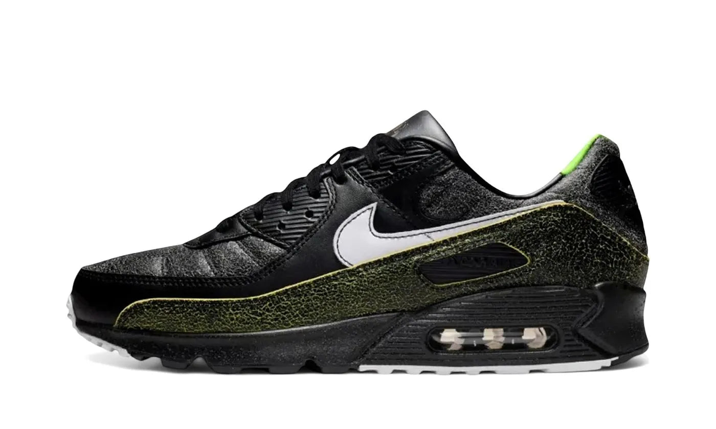 Air Max 90 Tiempo 2005 - IU0523-010