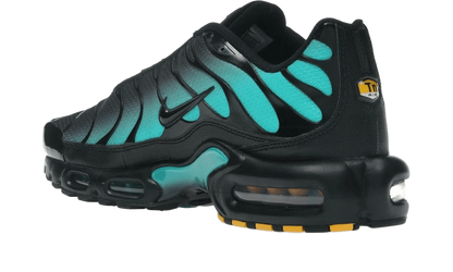 Air Max Plus Black Dusty Cactus - DM0032-016