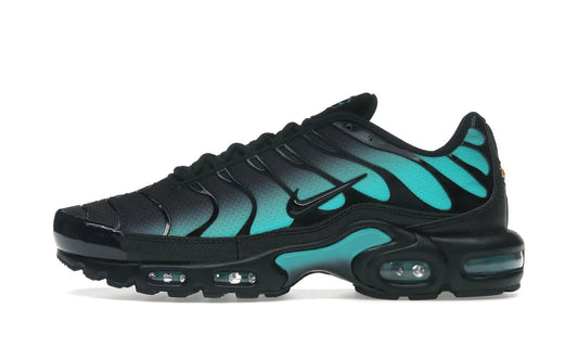 Air Max Plus Black Dusty Cactus - DM0032-016