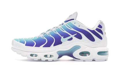 Air Max Plus Bleached Aqua Fierce Purple - AQ9979-100