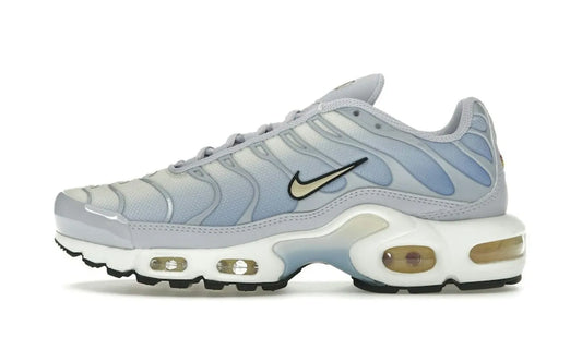 Air Max Plus Daybreak - DZ3670-004