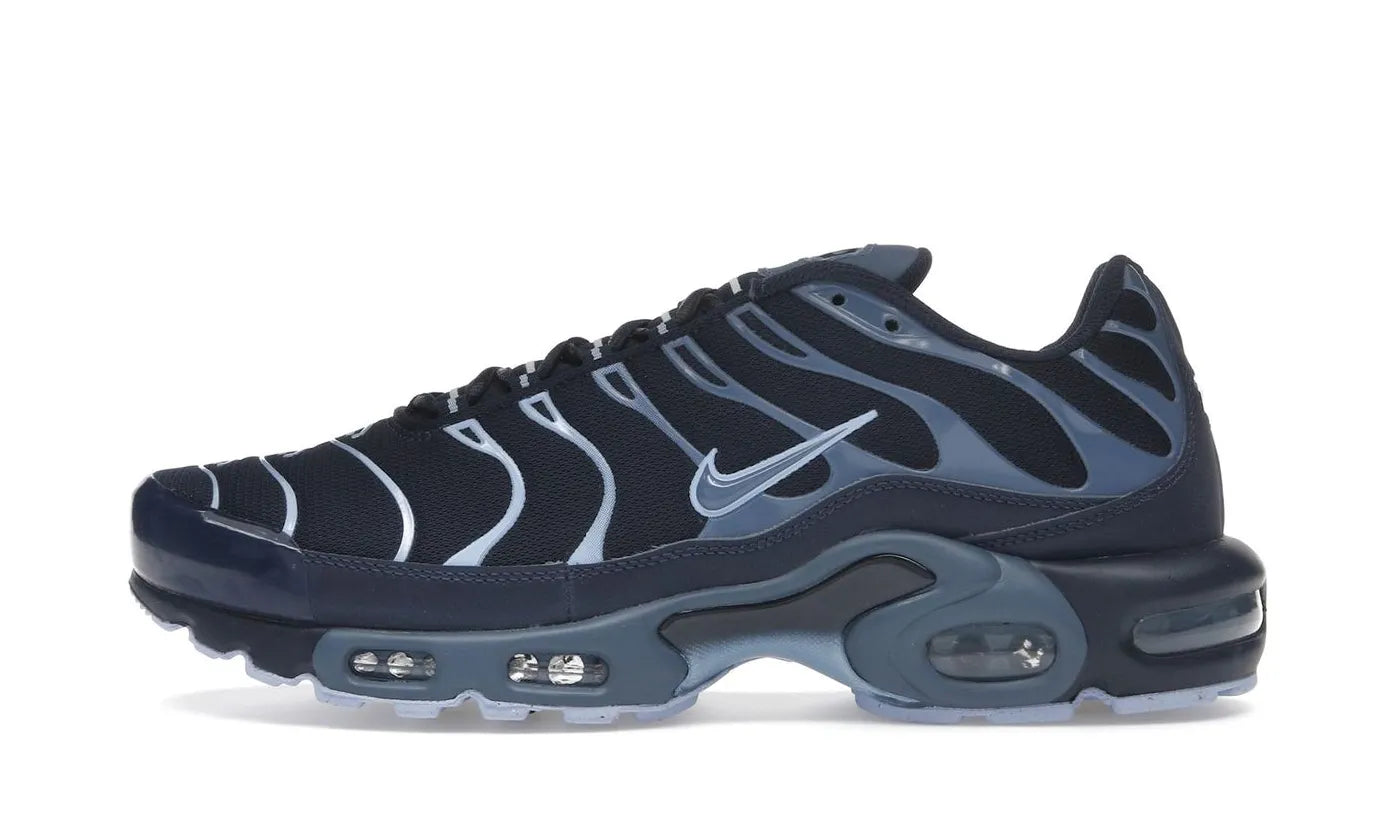 Air Max Plus Obsidian Aluminum - IM6601-451