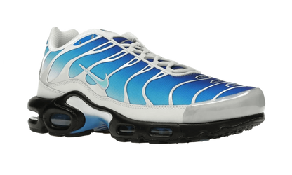 Air Max Plus One Block Down Light Photo Blue - FZ3308-400