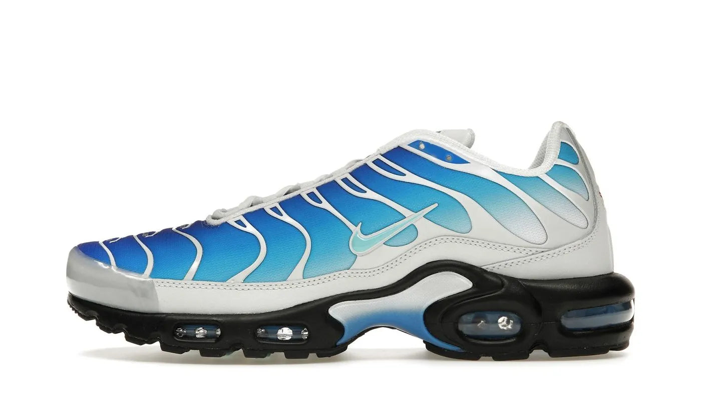 Air Max Plus One Block Down Light Photo Blue - FZ3308-400