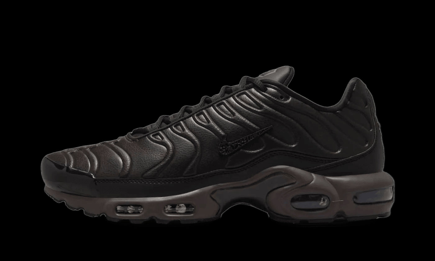 Air Max Plus Premium Paris - HJ4519-200